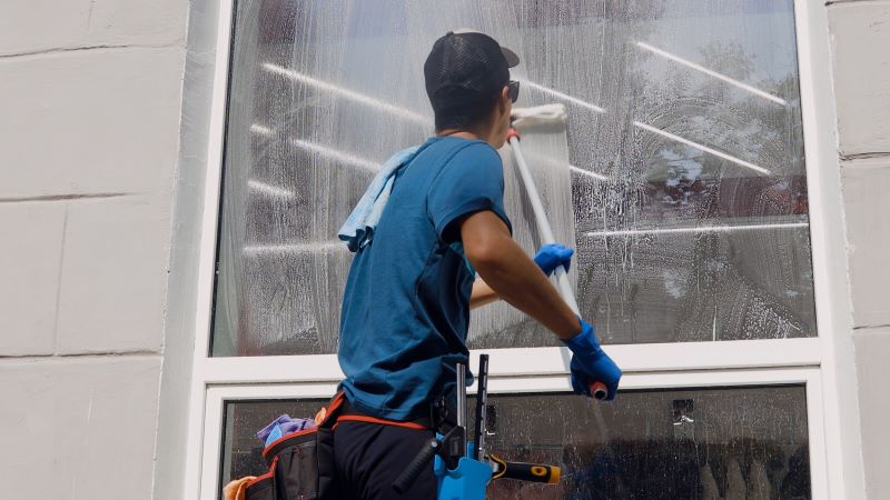 Lavage de vitres